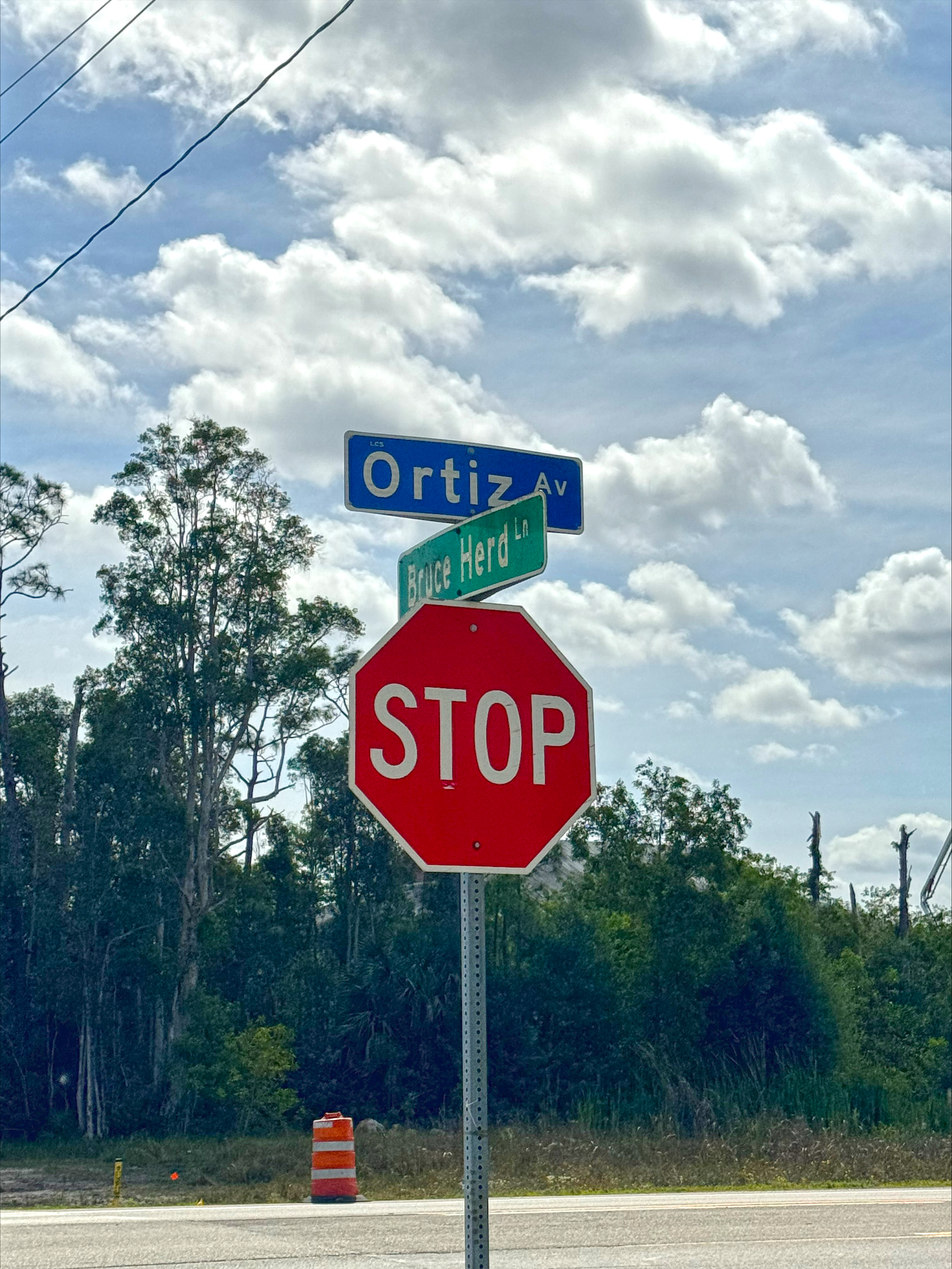 Ortiz Street sign photo